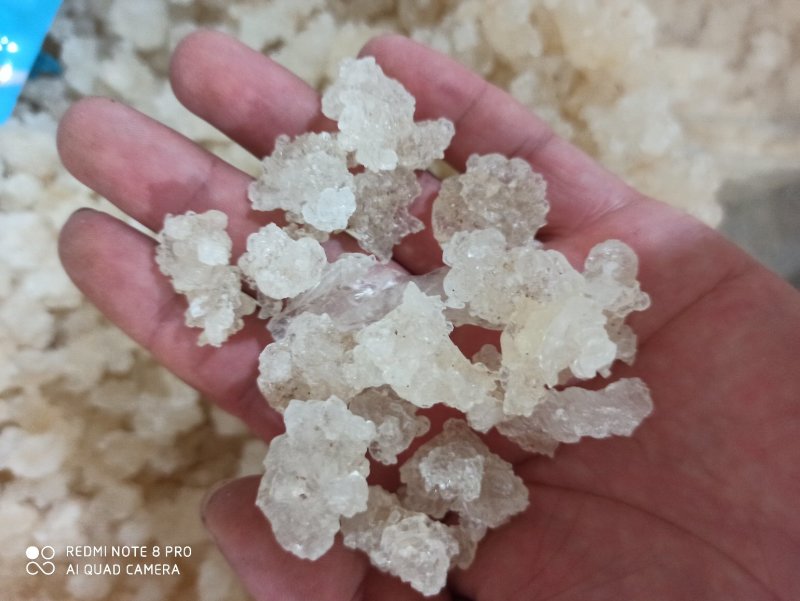 雪燕精品各种规格正品可打粉专营批发