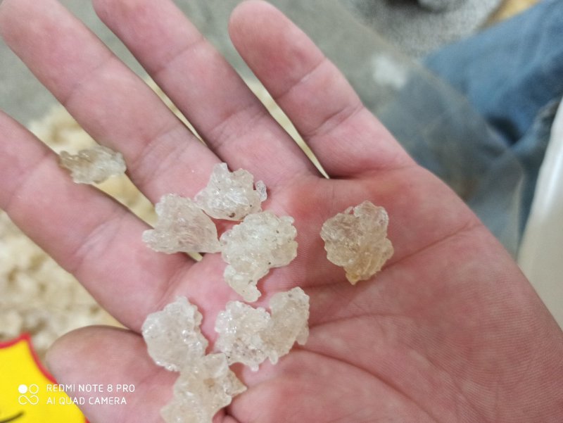 雪燕精品各种规格正品可打粉专营批发