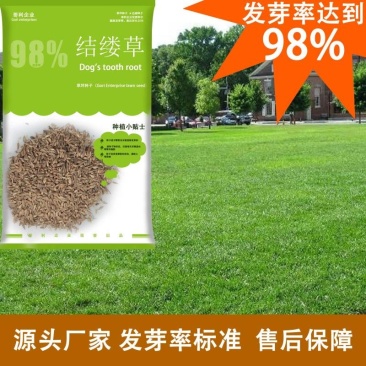 厂家直供可散批试种绿化结缕草台湾草裸种子技术指导种植量大