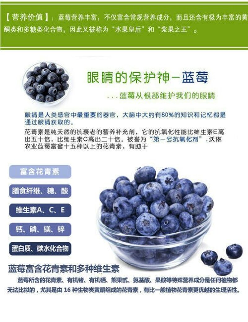 盆栽蓝莓苗，4年以上盆栽苗。