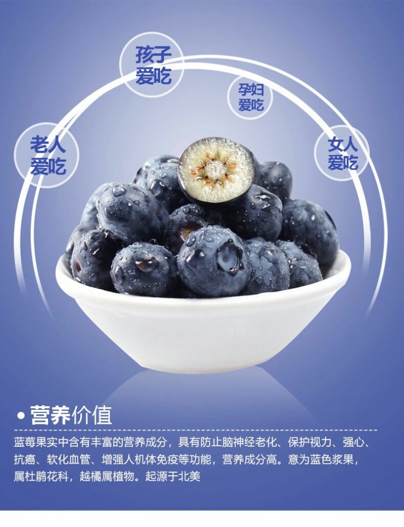 盆栽蓝莓苗，4年以上盆栽苗。