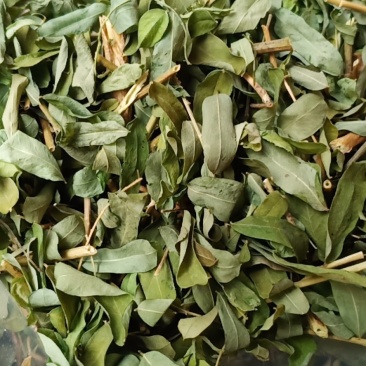 广西金秀大瑶山特产鸡骨草，喝了一口，回味无穷