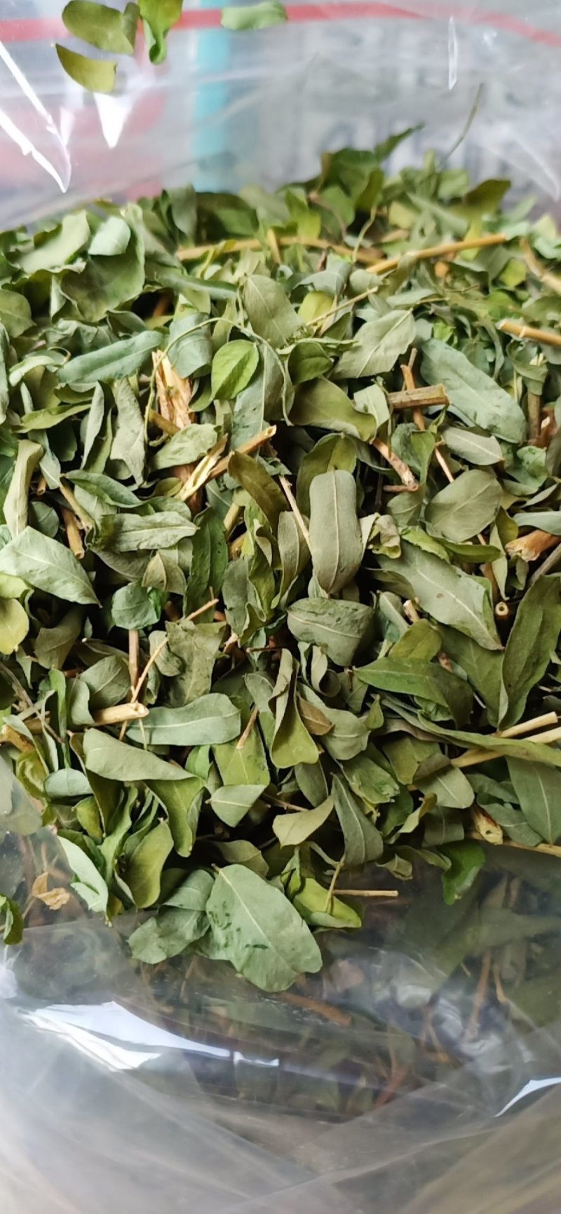 广西金秀大瑶山特产鸡骨草，喝了一口，回味无穷