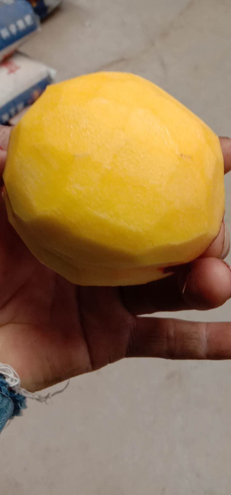 黄金蜜一号