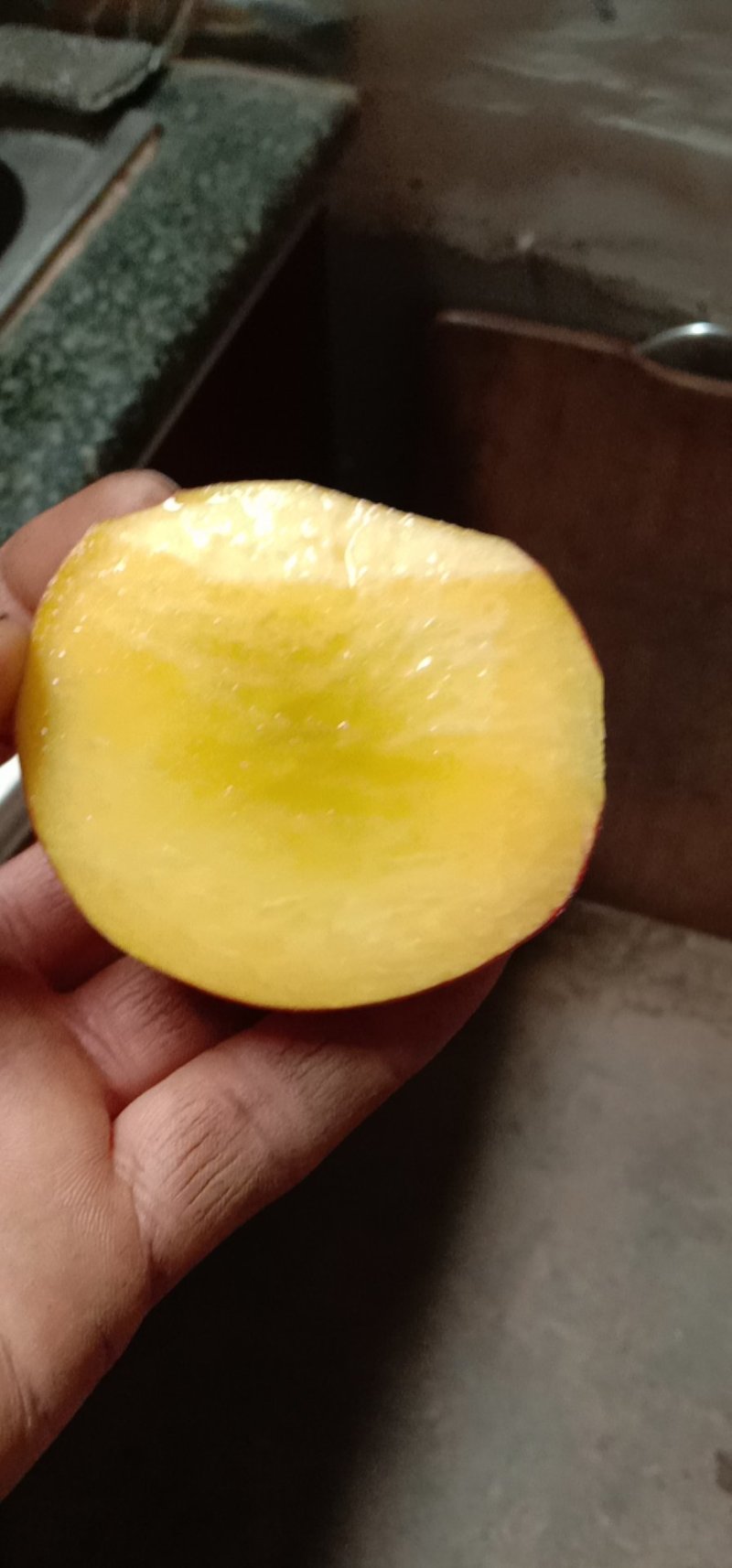 黄金蜜一号