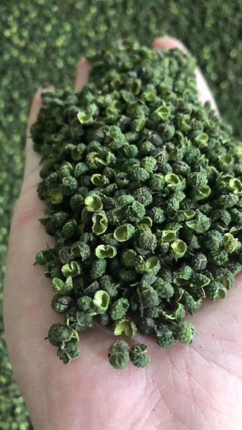 干花椒汉源青花椒地摊10元一碗模式量大从优