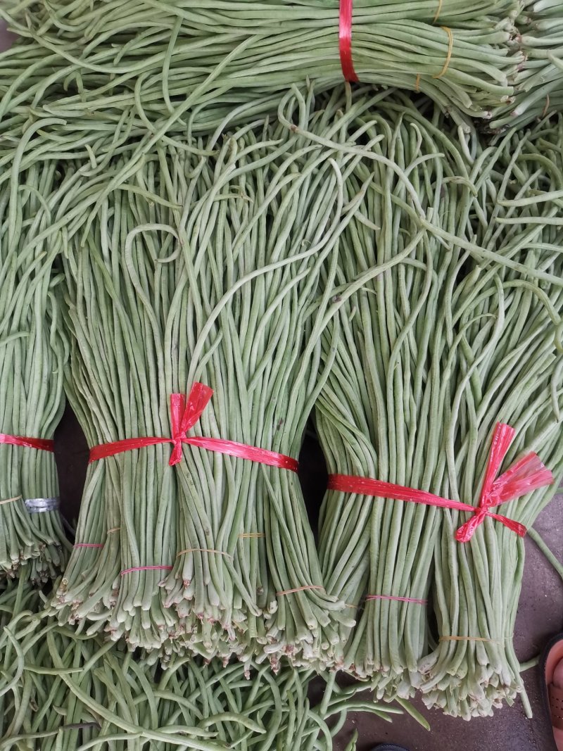 豇豆，緑豆角，长豆角，酱菜豆角，加工厂特别供应