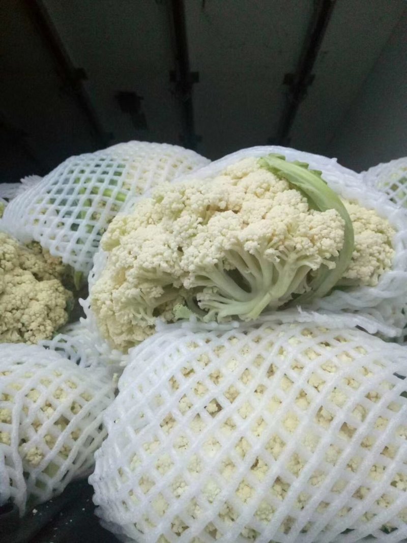 湖北有机松花爆量上市，向全国接单，代办待发，携手合作