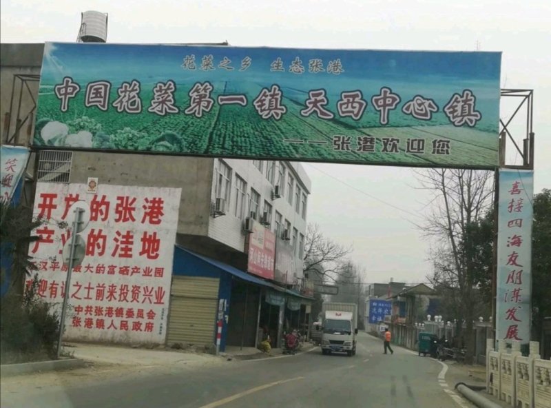 【推荐】实花松花，整车或配货发往全国各地，诚信为您代收