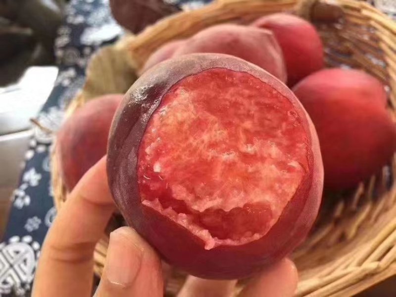 精品毛桃基地直供量大从优电话咨询