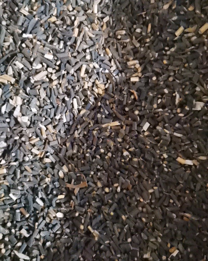 桂枝尖产地直供大量批发零售可视频看货