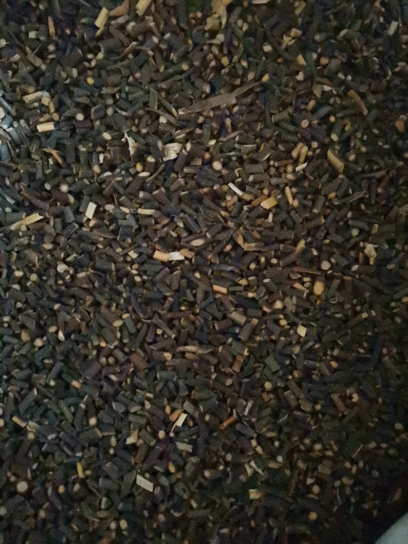 桂枝尖产地直供大量批发零售可视频看货