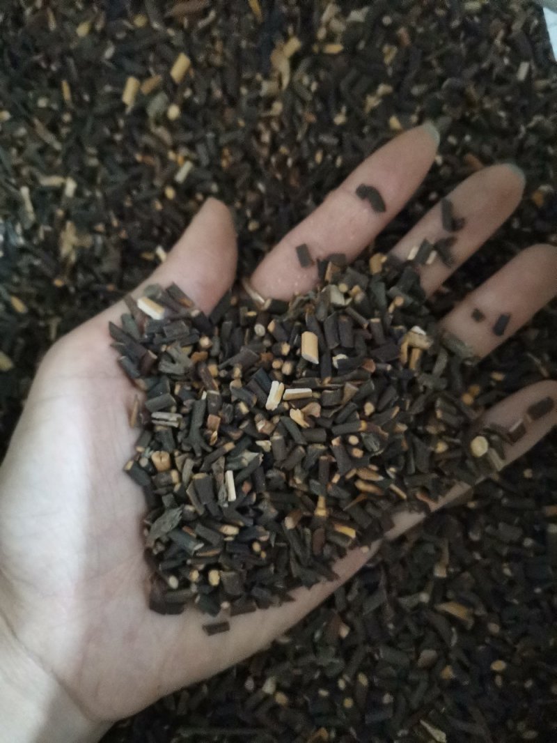 桂枝尖产地直供大量批发零售可视频看货