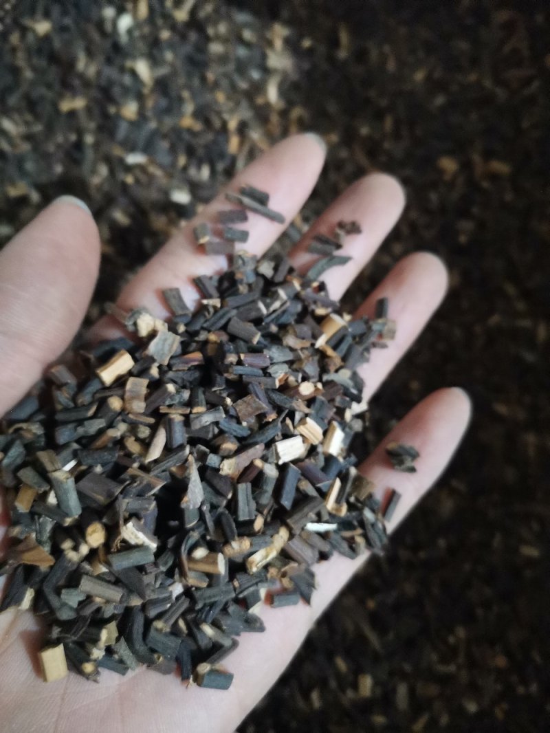 桂枝尖产地直供大量批发零售可视频看货