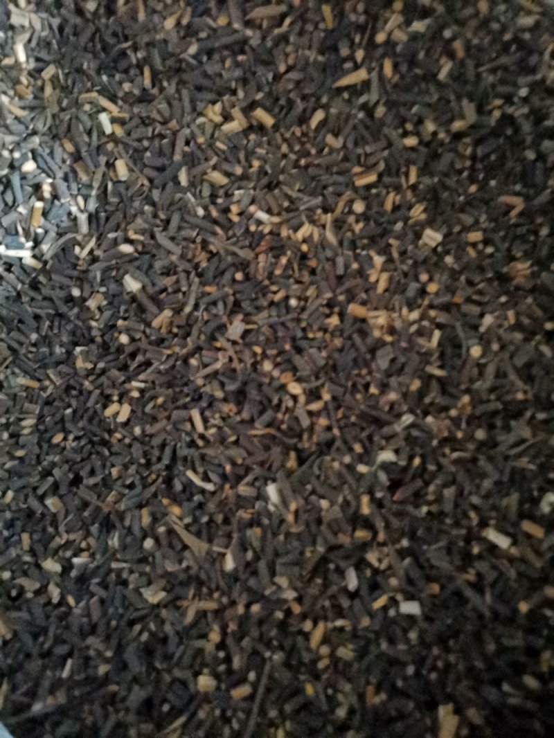 桂枝尖产地直供大量批发零售可视频看货