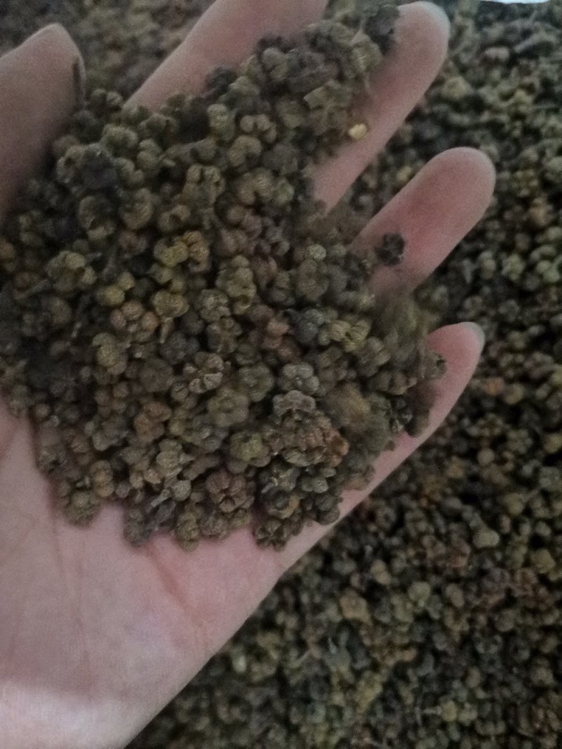 吴茱萸吴茱萸中花选货今年新货味道浓郁颜色新鲜