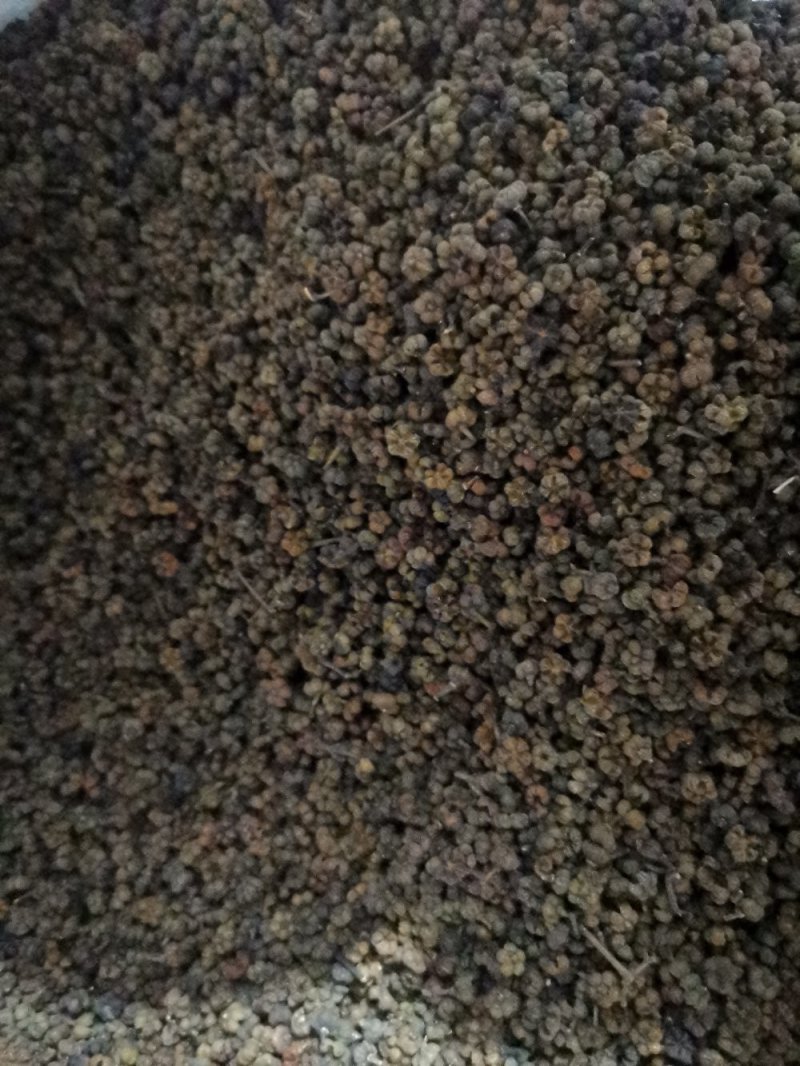 吴茱萸吴茱萸中花选货今年新货味道浓郁颜色新鲜