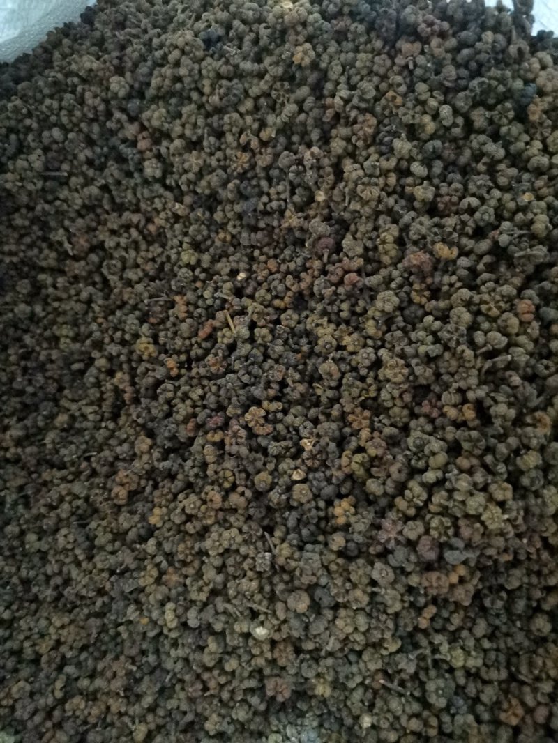 吴茱萸吴茱萸中花选货今年新货味道浓郁颜色新鲜