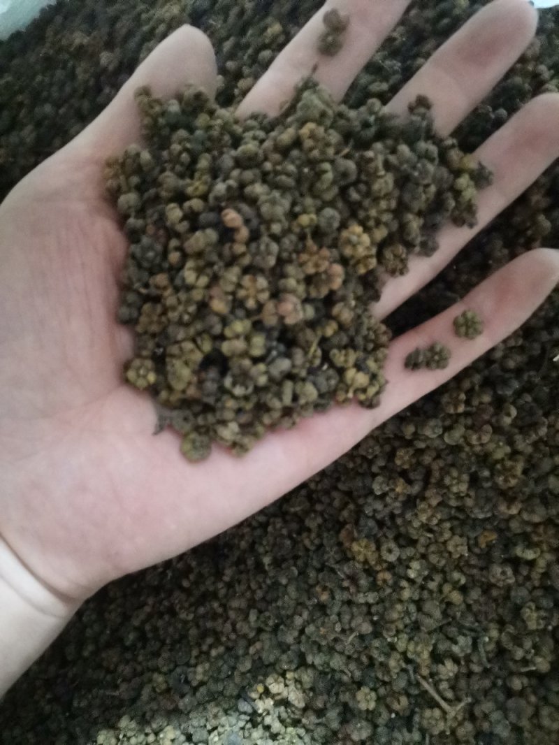 吴茱萸吴茱萸中花选货今年新货味道浓郁颜色新鲜