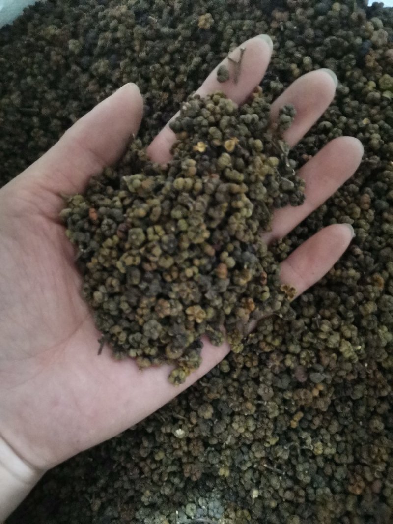 吴茱萸吴茱萸中花选货今年新货味道浓郁颜色新鲜