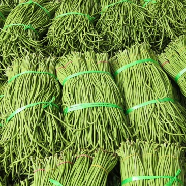 陕西汉中豇豆(现货)条行长颜色正无虫眼量足