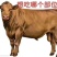 内蒙古锡林郭勒黄牛肉，纯草饲十斤一块，