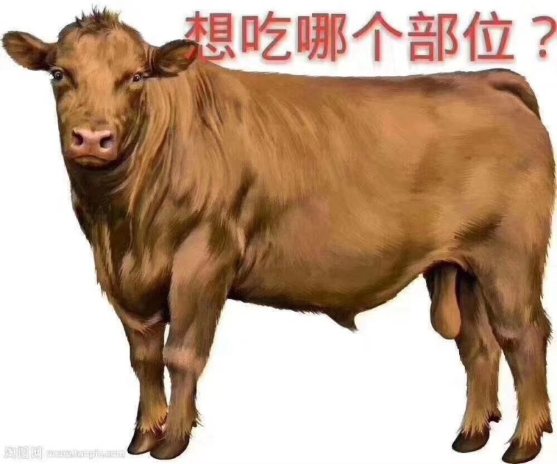 内蒙古锡林郭勒黄牛肉，纯草饲十斤一块，