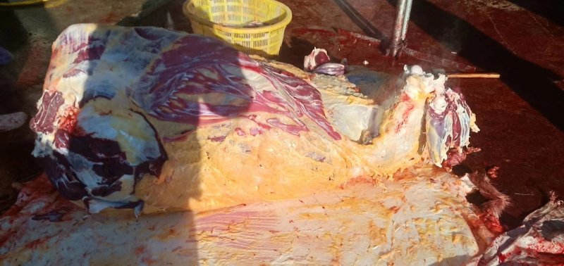 内蒙古锡林郭勒黄牛肉，纯草饲十斤一块，