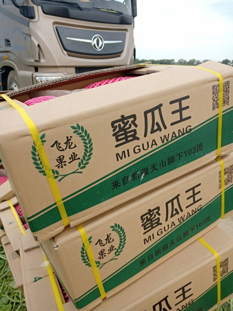 新疆哈密瓜，西州蜜17号，小蜜25号黄金蜜，脆甜，