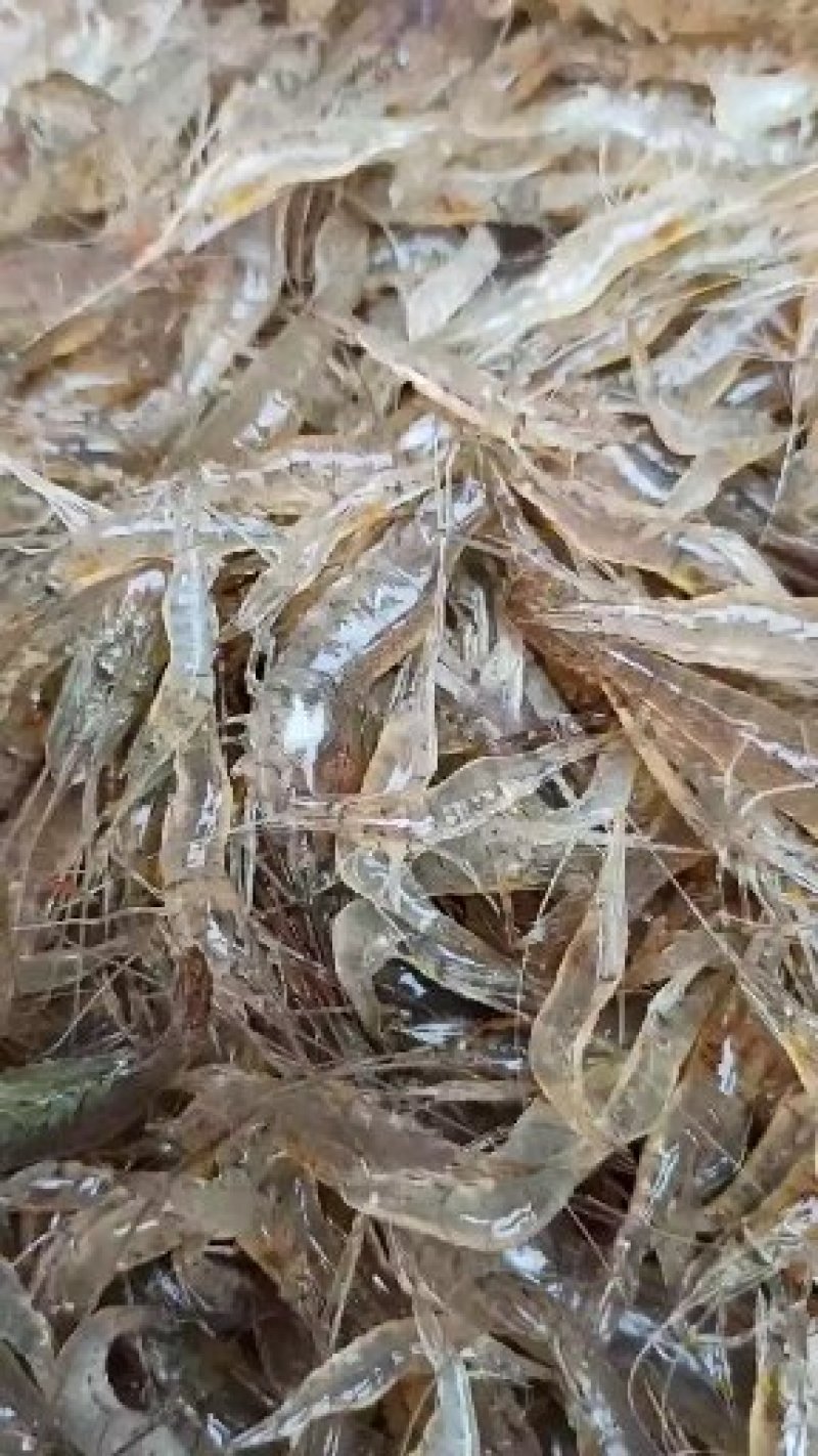 河虾