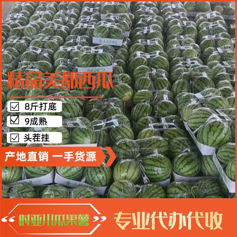 河南开封祥符【美都西瓜】8斤打底9成熟头茬瓜包熟包甜