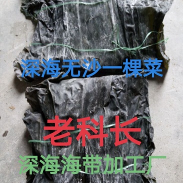 纯青海带片:新品无沙一棵菜.30公分短板菜.口感好杂质少