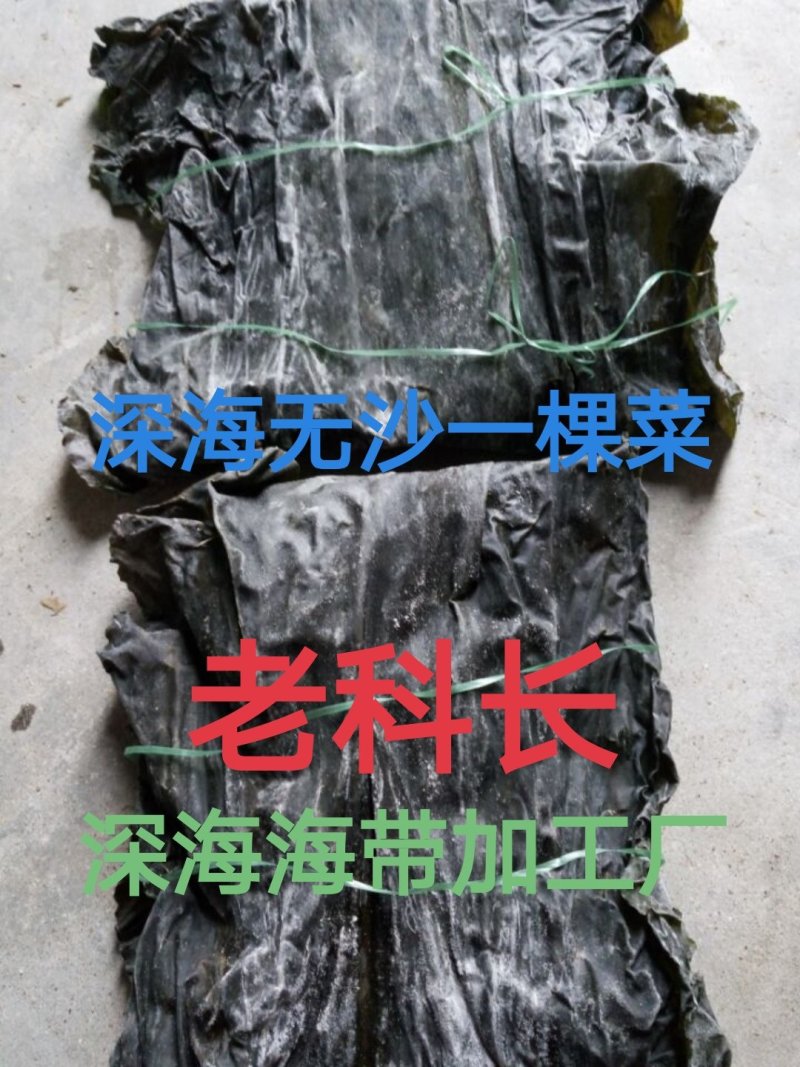 纯青海带片：新品无沙一棵菜.30公分短板菜.口感好杂质少