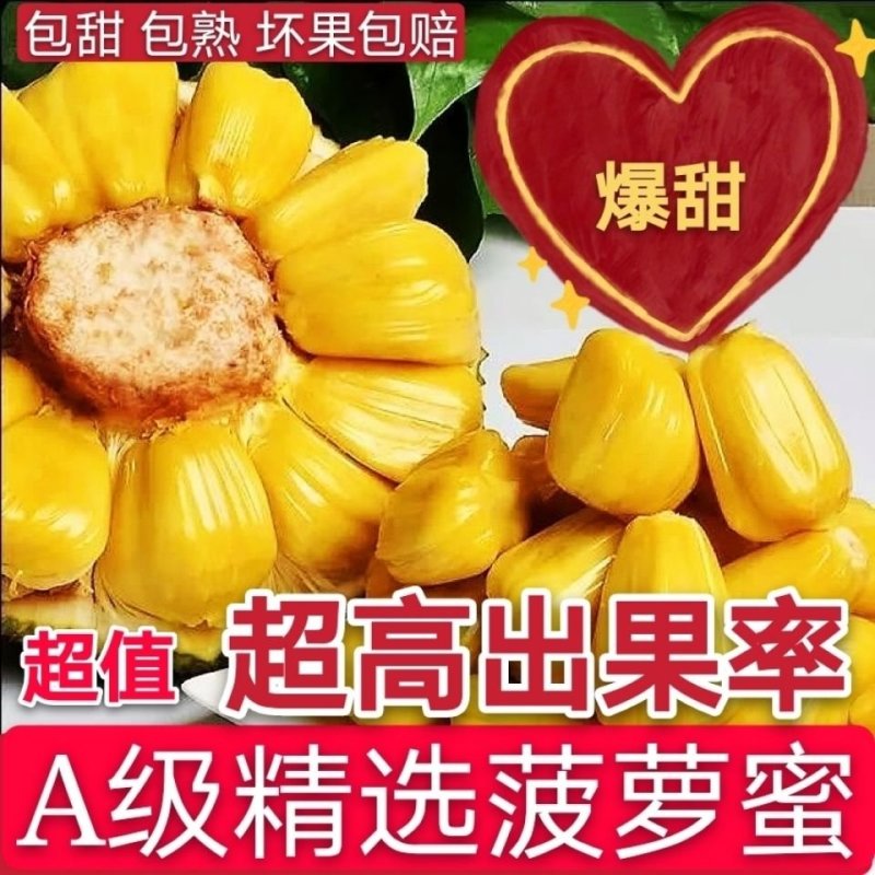 海南菠萝蜜【一件代发】电商平台微商代理社区团购实体批发