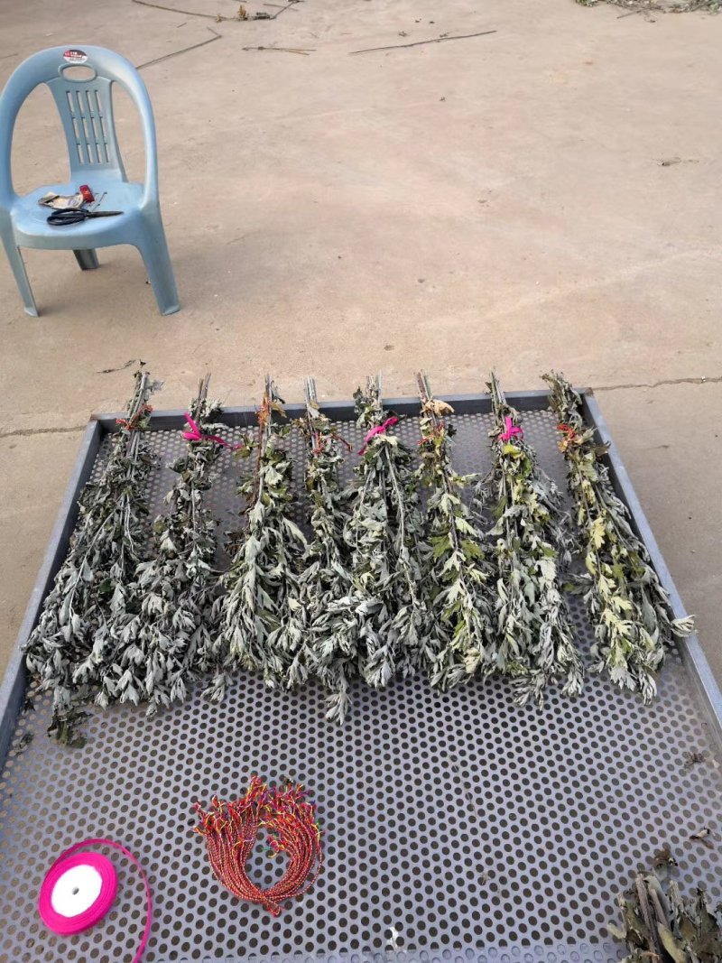 大量出销端午节艾草，新鲜艾草，1000亩基地直发