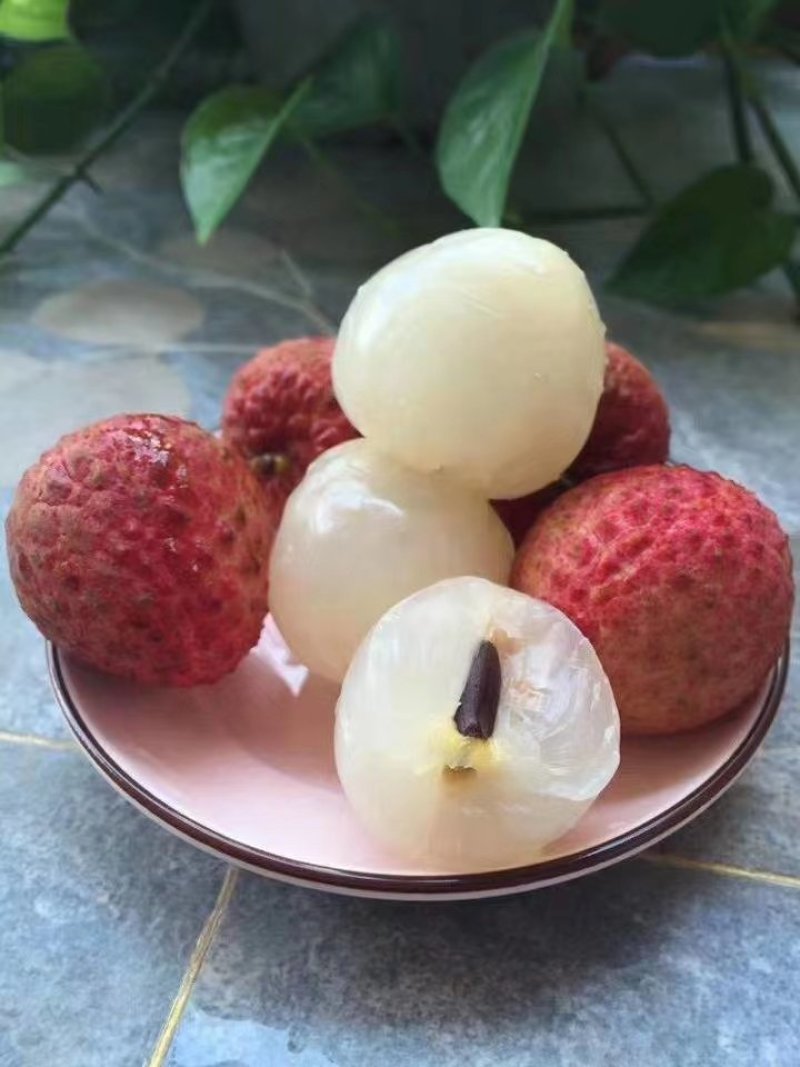 陆丰市荔枝