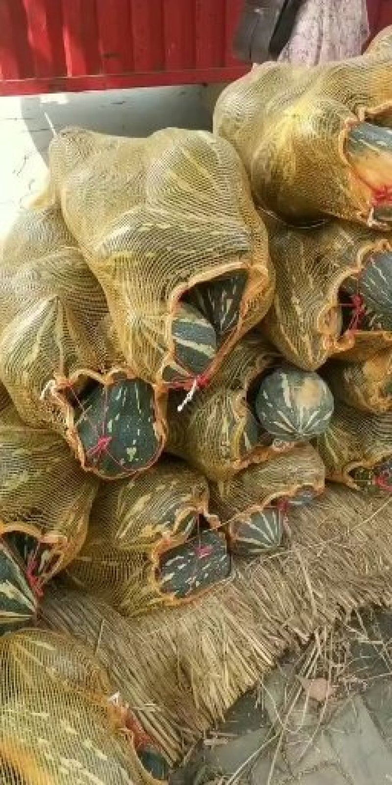 香芋南瓜【河南开封千亩基地直供高质量高标准】