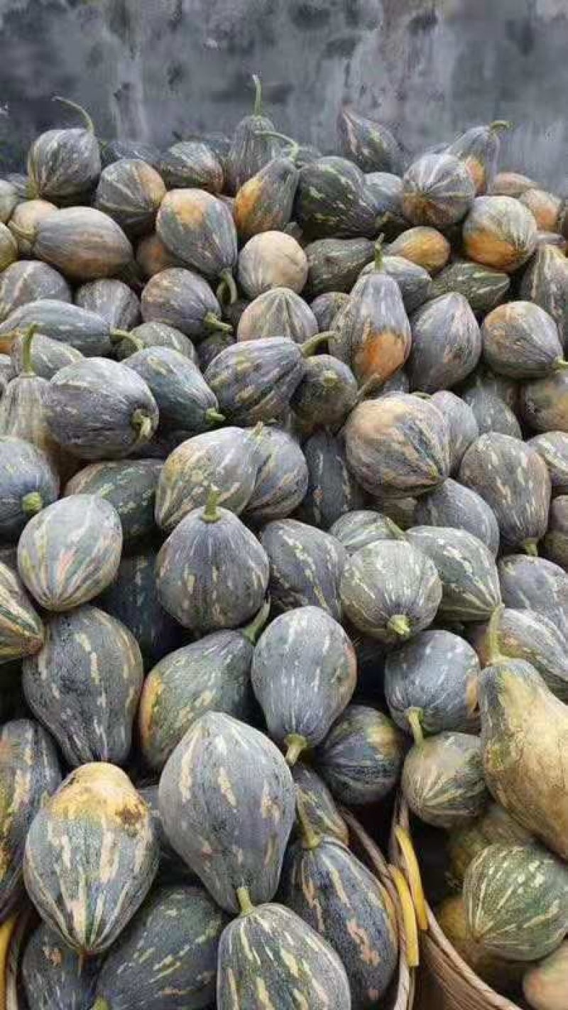 香芋南瓜【河南开封千亩基地直供高质量高标准】