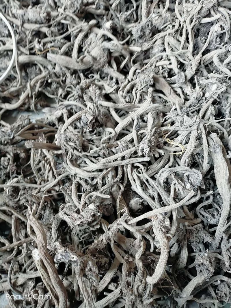 贵州毕节遵义大蓟根大量销售干货量大包含量