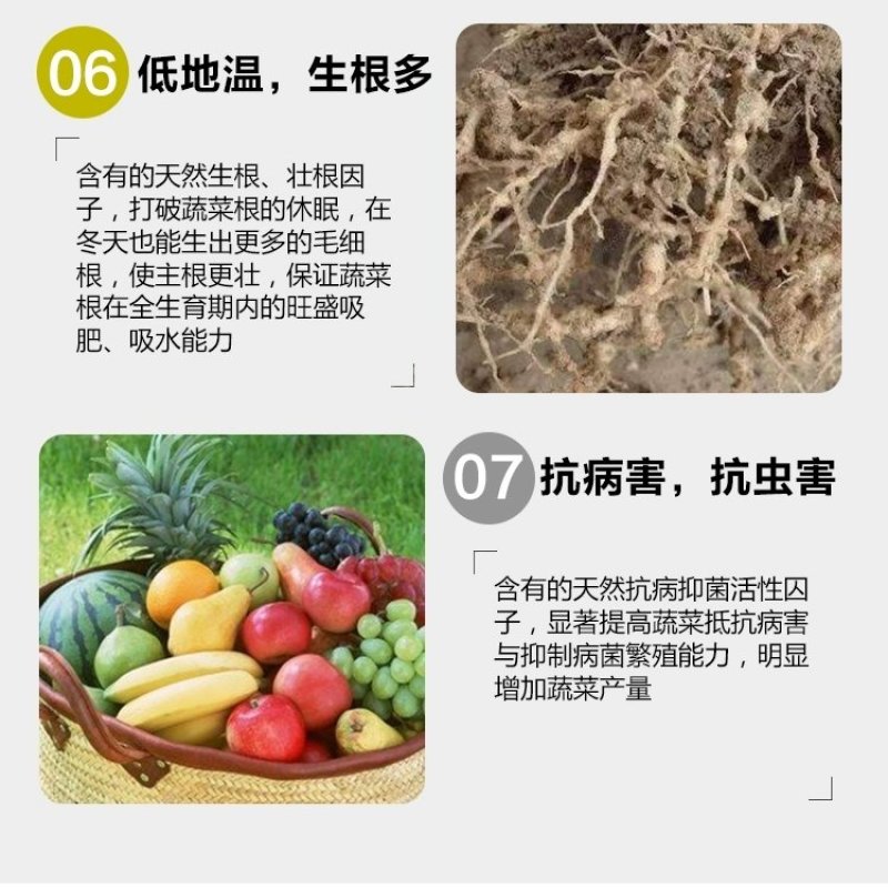 活菌根多多生根壮苗有机水溶肥生根快提苗快抗重茬低温生根快