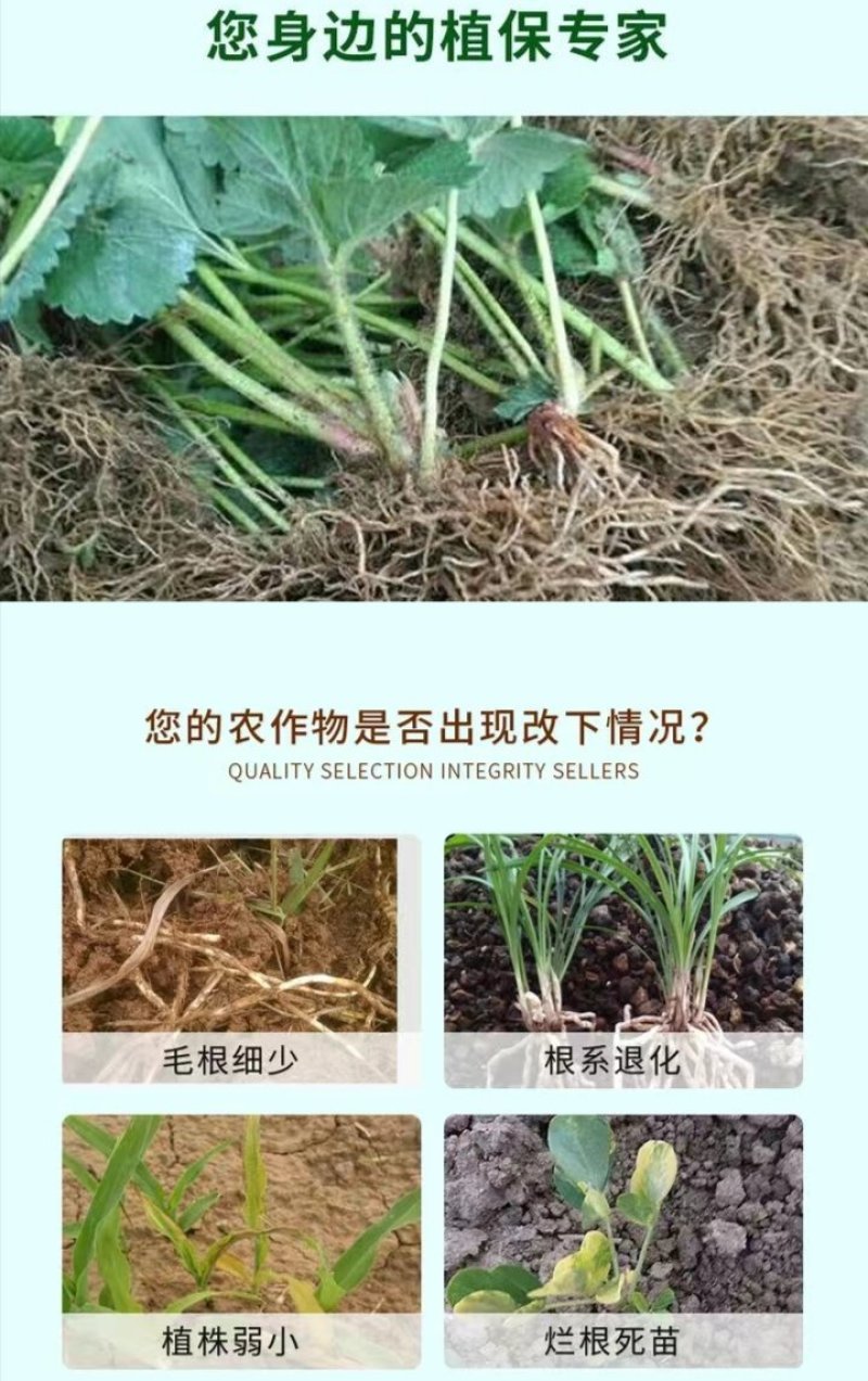 活菌根多多生根壮苗有机水溶肥生根快提苗快抗重茬低温生根快