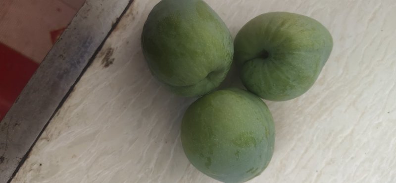 广西桂林奈李
