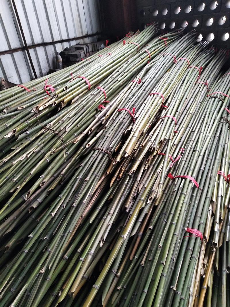麻竹，菜架竹，水竹，刚竹，楠竹，各种支撑杆，竹杆，晒板竹