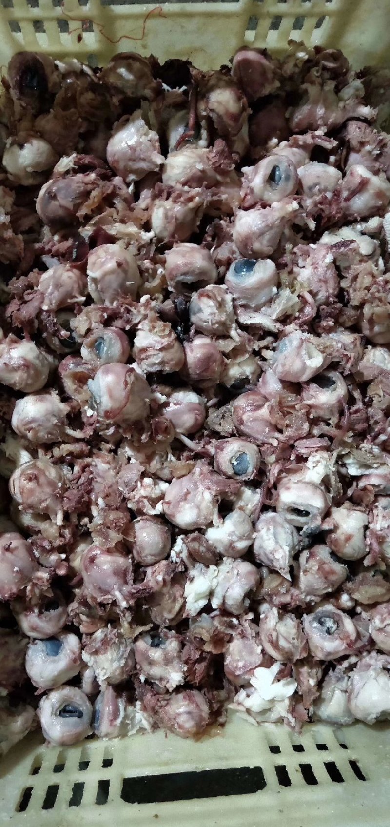 （羊眼）（价格便宜熟羊眼烧烤用汤锅用半成品5斤一包