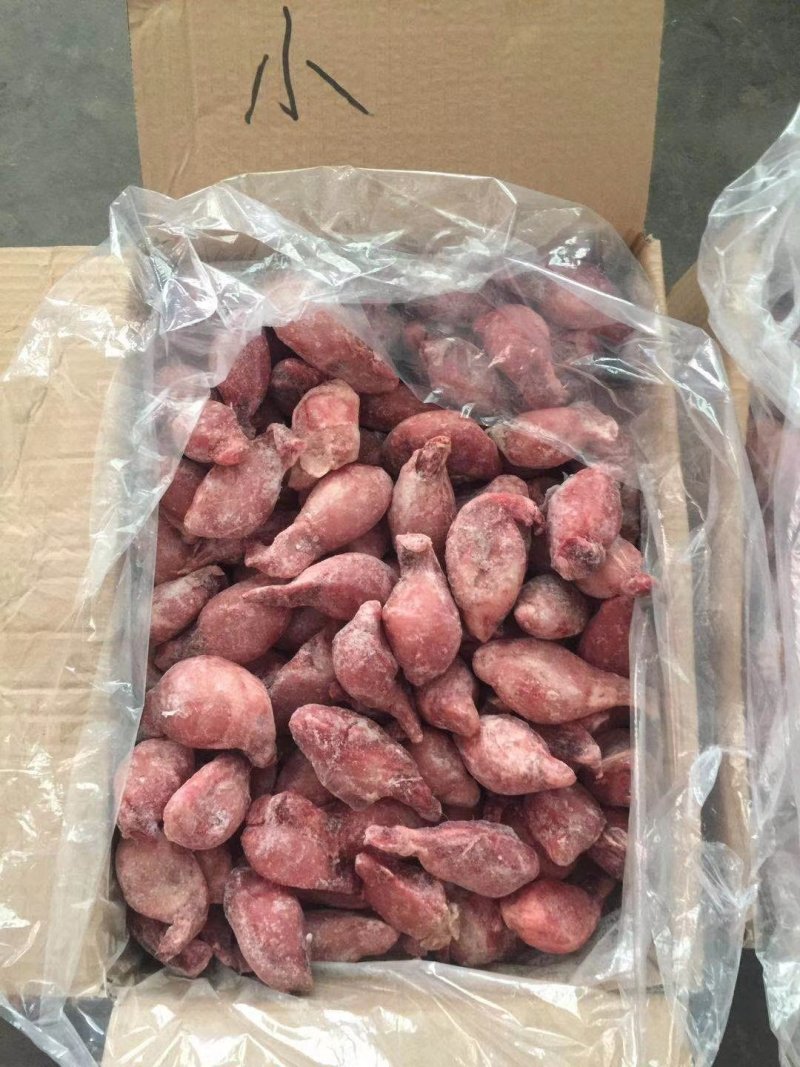 （羊宝）俗称羊蛋大中小精修鲜货速冻箱装一件30斤