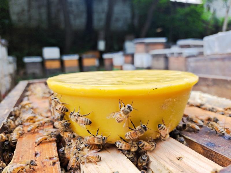 【蜂蜡】蜂场直销无添加无药残西方蜜蜂黄蜡蜂蜡蜜盖蜡
