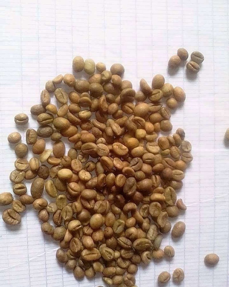 非洲阿拉比卡咖啡豆，，，，