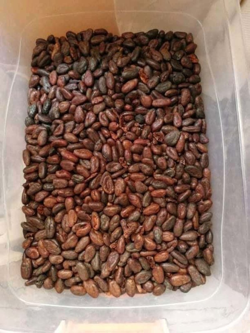 非洲阿拉比卡咖啡豆，，，，