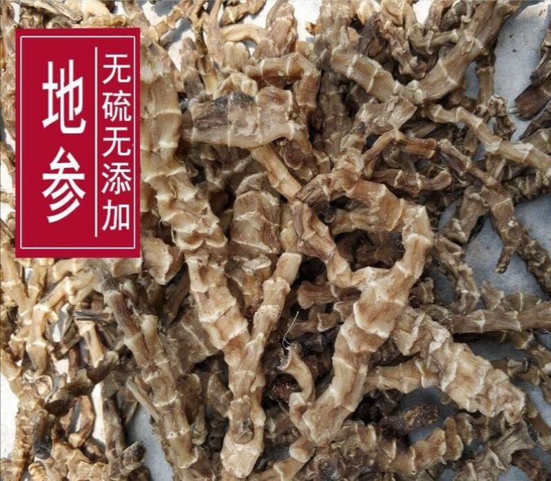 地参，产地直供道地药材，药典标准，支持线上交易保障