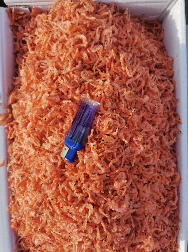 常年供应南极磷虾大虾皮，无盐淡干，各种大中小规格齐全